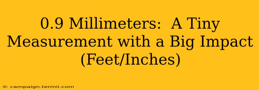 0.9 Millimeters:  A Tiny Measurement with a Big Impact (Feet/Inches)