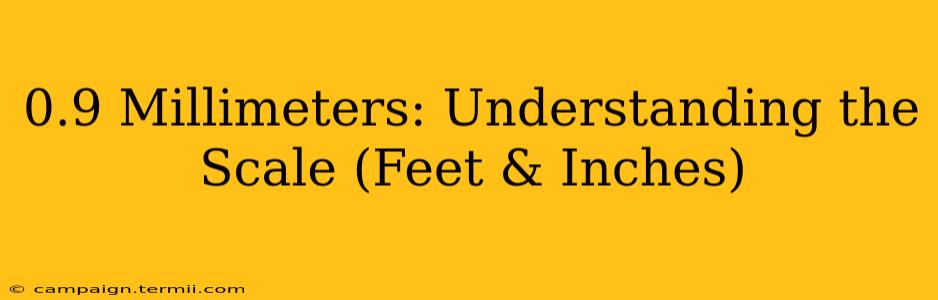 0.9 Millimeters: Understanding the Scale (Feet & Inches)