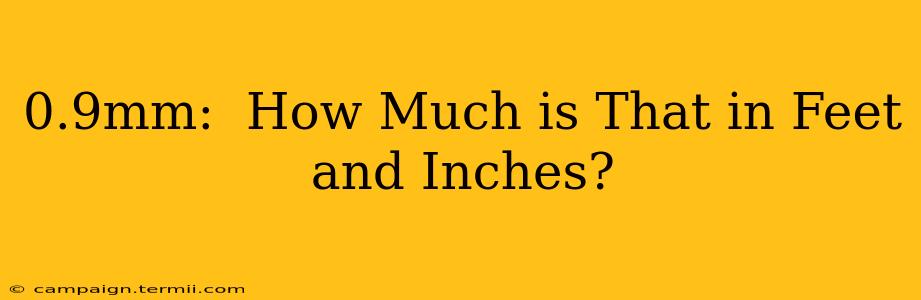 0.9mm:  How Much is That in Feet and Inches?