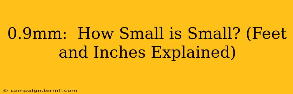 0.9mm:  How Small is Small? (Feet and Inches Explained)