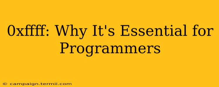 0xffff: Why It's Essential for Programmers