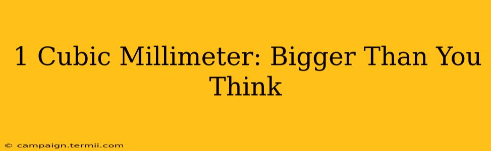 1 Cubic Millimeter: Bigger Than You Think