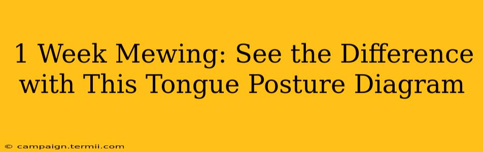 1 Week Mewing: See the Difference with This Tongue Posture Diagram