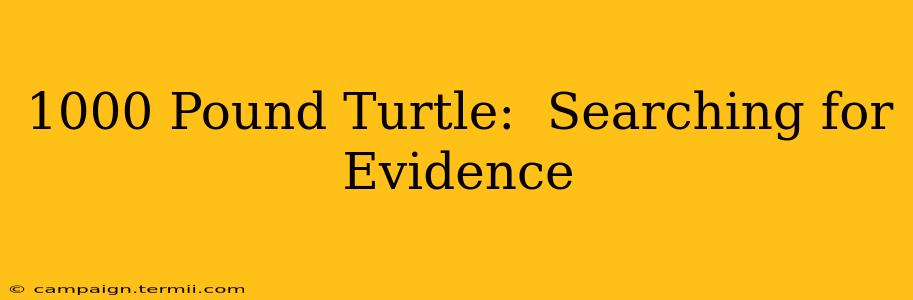 1000 Pound Turtle:  Searching for Evidence