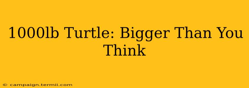 1000lb Turtle: Bigger Than You Think