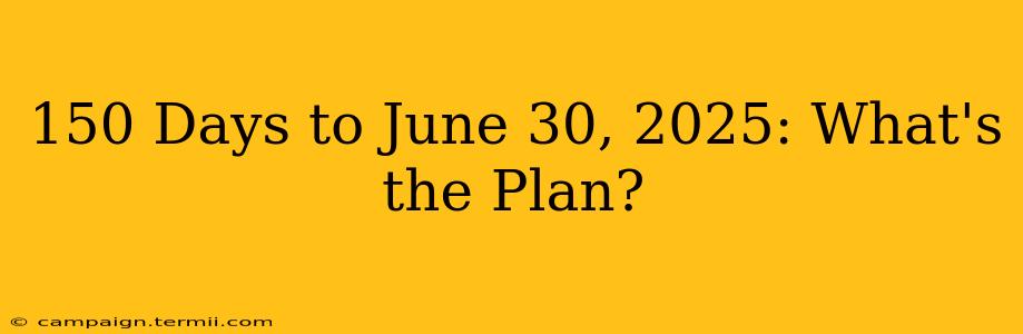 150 Days to June 30, 2025: What's the Plan?