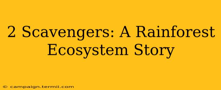 2 Scavengers: A Rainforest Ecosystem Story