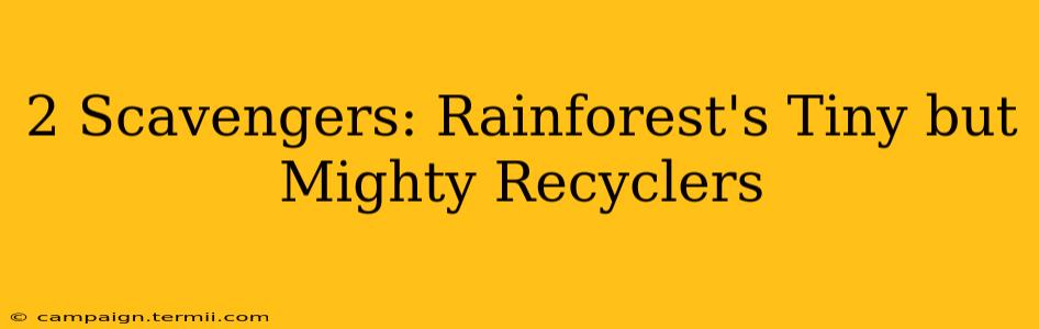 2 Scavengers: Rainforest's Tiny but Mighty Recyclers