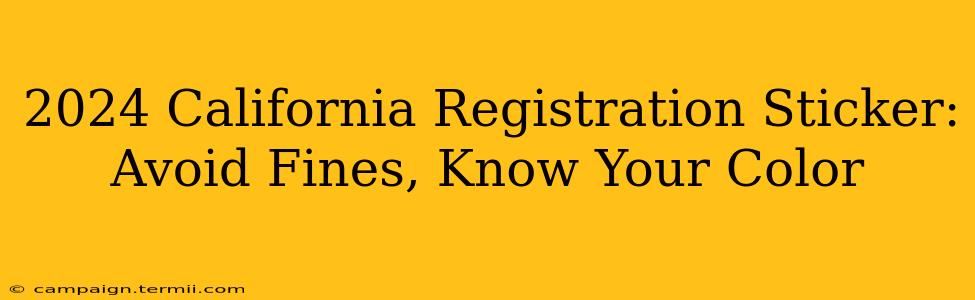 2024 California Registration Sticker: Avoid Fines, Know Your Color