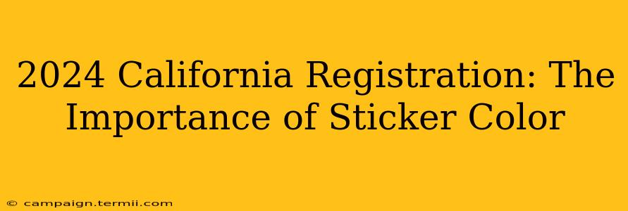 2024 California Registration: The Importance of Sticker Color