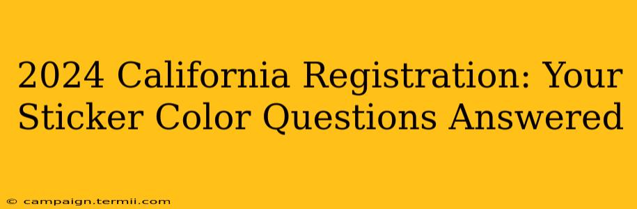 2024 California Registration: Your Sticker Color Questions Answered