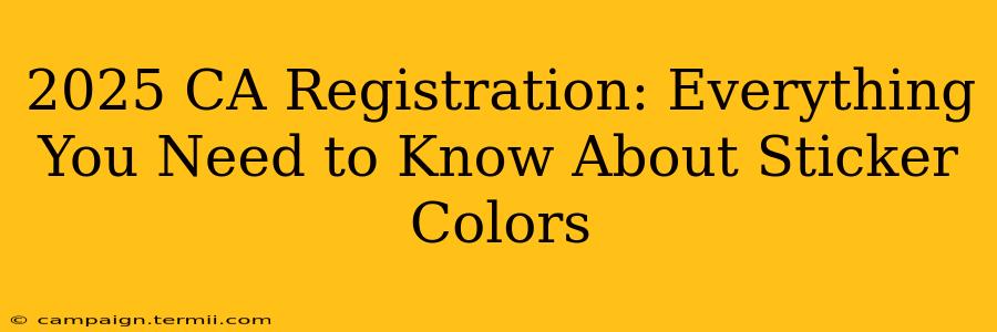 2025 CA Registration: Everything You Need to Know About Sticker Colors