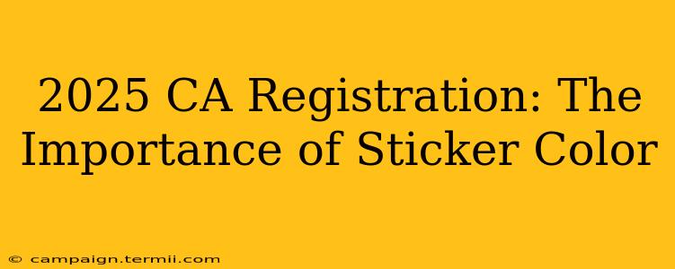 2025 CA Registration: The Importance of Sticker Color