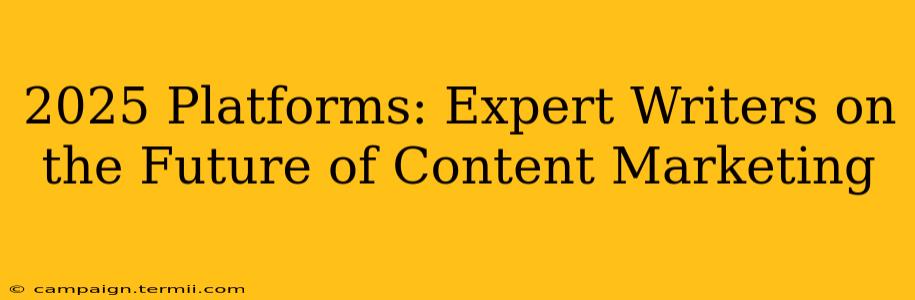 2025 Platforms: Expert Writers on the Future of Content Marketing