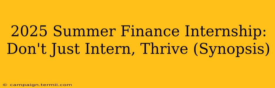 2025 Summer Finance Internship: Don't Just Intern, Thrive (Synopsis)