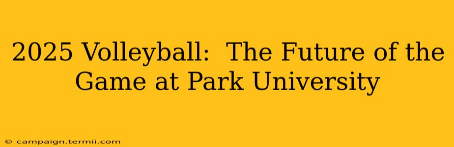 2025 Volleyball:  The Future of the Game at Park University