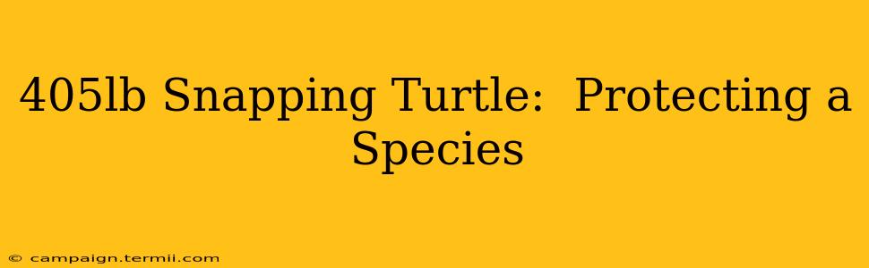 405lb Snapping Turtle:  Protecting a Species