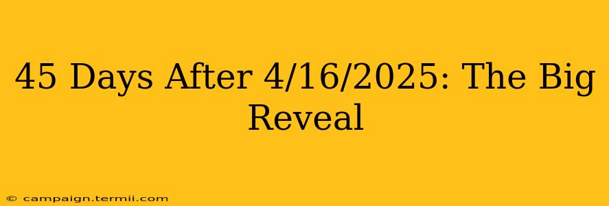 45 Days After 4/16/2025: The Big Reveal