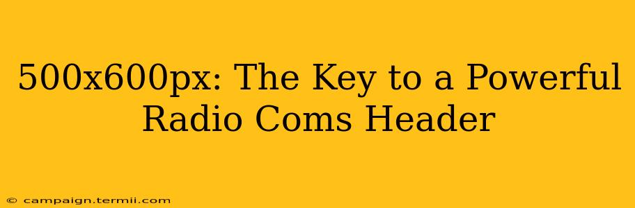 500x600px: The Key to a Powerful Radio Coms Header