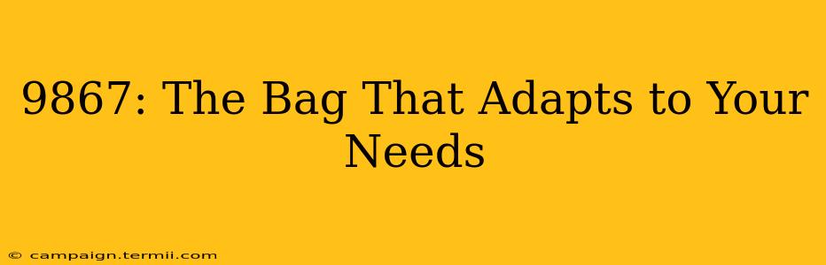 9867: The Bag That Adapts to Your Needs