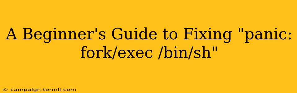 A Beginner's Guide to Fixing "panic: fork/exec /bin/sh"