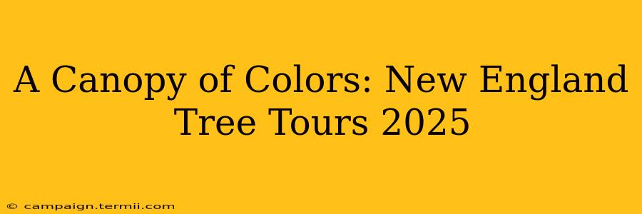 A Canopy of Colors: New England Tree Tours 2025