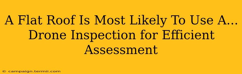 A Flat Roof Is Most Likely To Use A...  Drone Inspection for Efficient Assessment