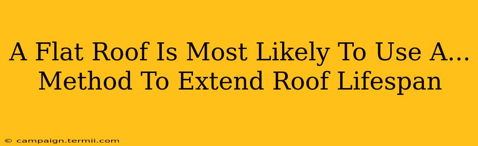 A Flat Roof Is Most Likely To Use A...  Method To Extend Roof Lifespan