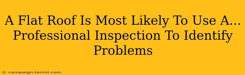 A Flat Roof Is Most Likely To Use A...  Professional Inspection To Identify Problems