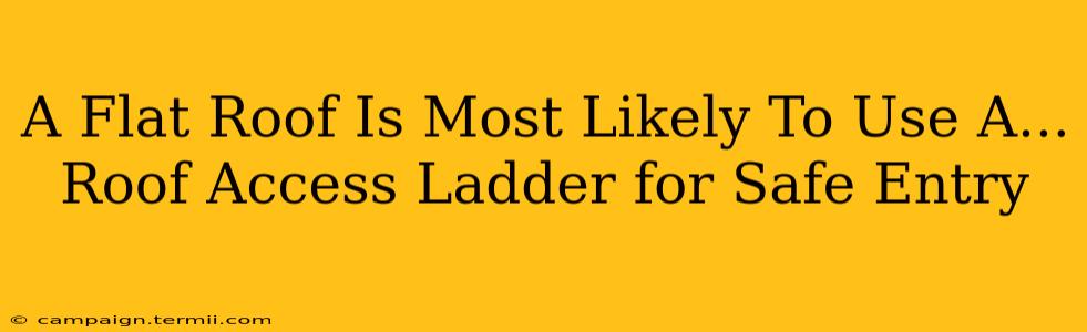 A Flat Roof Is Most Likely To Use A...  Roof Access Ladder for Safe Entry