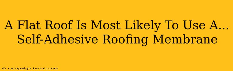 A Flat Roof Is Most Likely To Use A...  Self-Adhesive Roofing Membrane