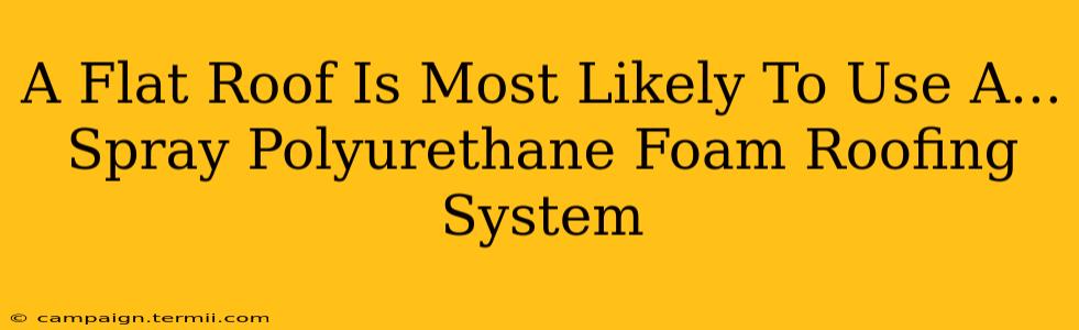 A Flat Roof Is Most Likely To Use A...  Spray Polyurethane Foam Roofing System