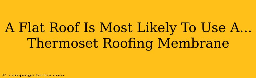 A Flat Roof Is Most Likely To Use A...  Thermoset Roofing Membrane