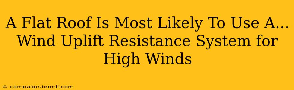 A Flat Roof Is Most Likely To Use A...  Wind Uplift Resistance System for High Winds