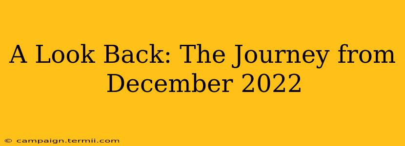 A Look Back: The Journey from December 2022