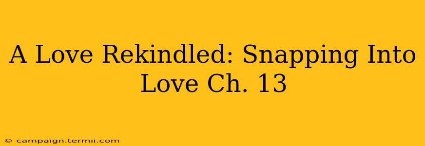 A Love Rekindled: Snapping Into Love Ch. 13