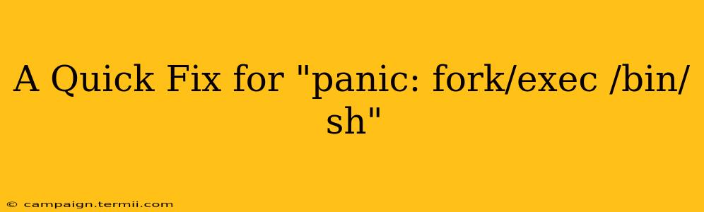 A Quick Fix for "panic: fork/exec /bin/sh"