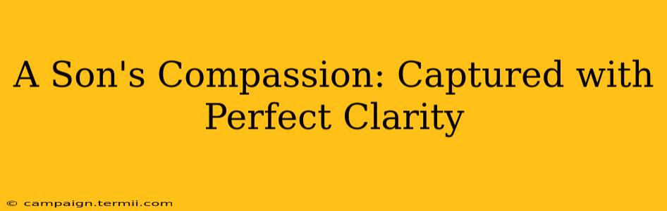 A Son's Compassion: Captured with Perfect Clarity