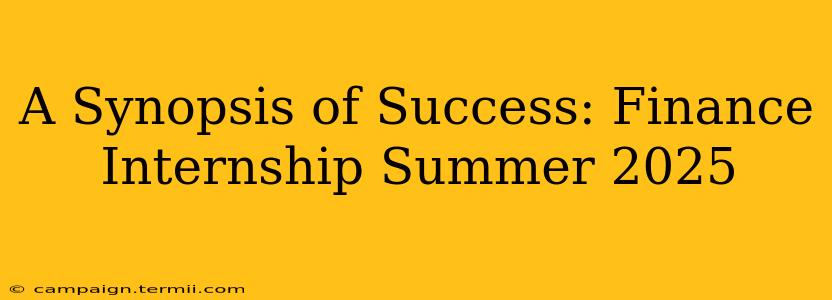 A Synopsis of Success: Finance Internship Summer 2025