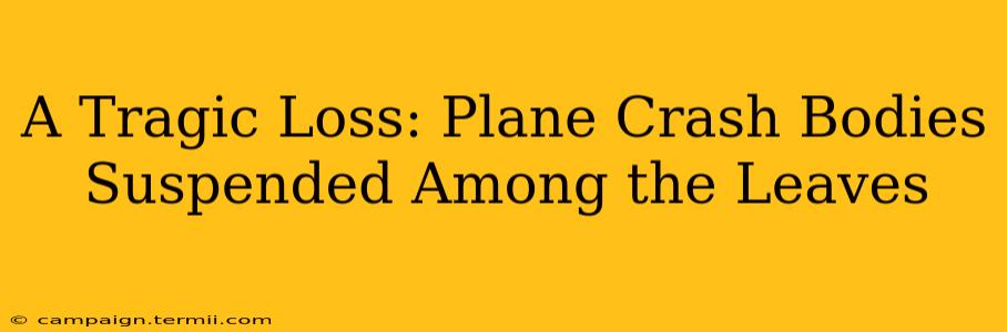 A Tragic Loss: Plane Crash Bodies Suspended Among the Leaves