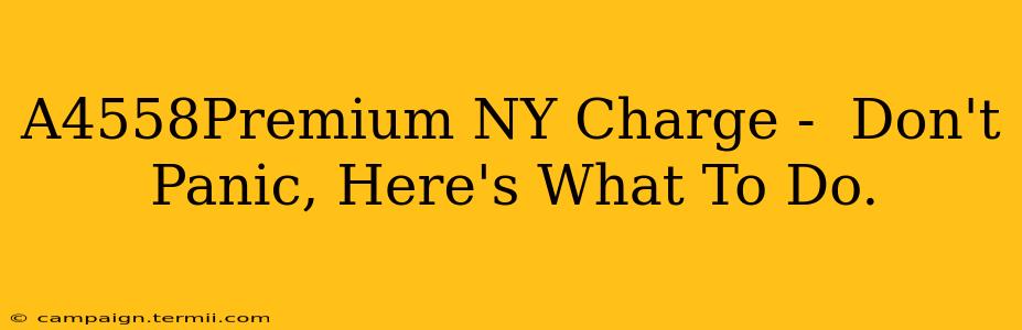 A4558Premium NY Charge -  Don't Panic, Here's What To Do.