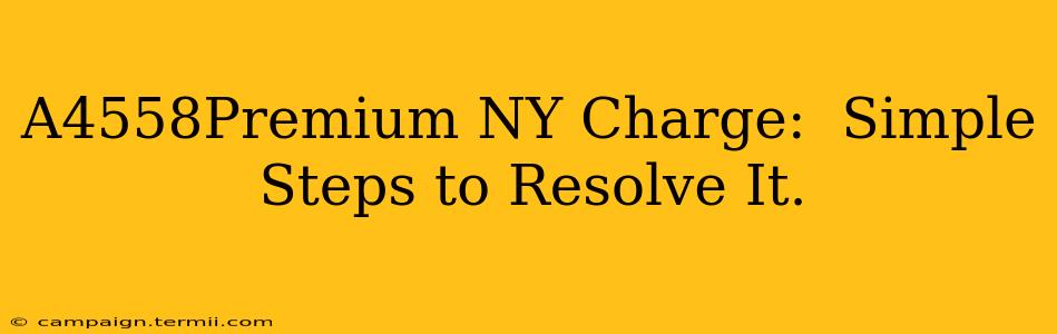 A4558Premium NY Charge:  Simple Steps to Resolve It.