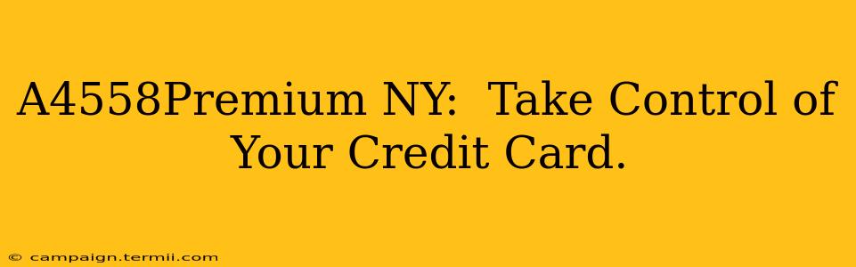 A4558Premium NY:  Take Control of Your Credit Card.