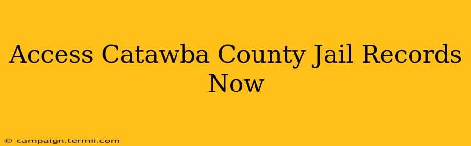 Access Catawba County Jail Records Now