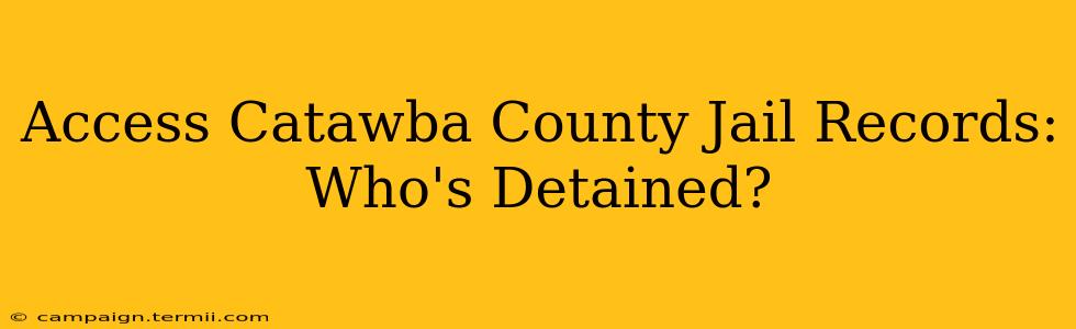 Access Catawba County Jail Records: Who's Detained?