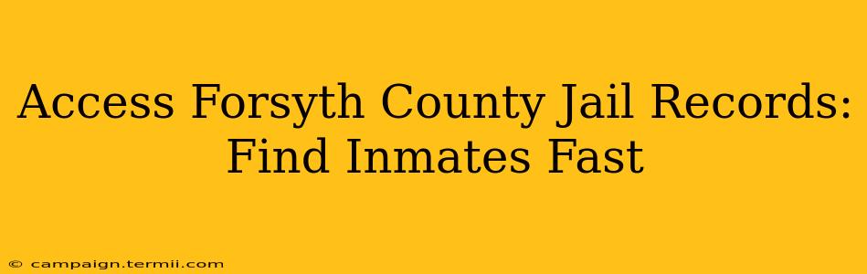 Access Forsyth County Jail Records: Find Inmates Fast