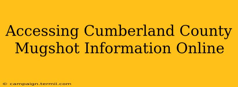 Accessing Cumberland County Mugshot Information Online