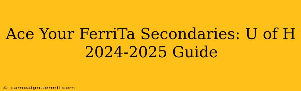 Ace Your FerriTa Secondaries: U of H 2024-2025 Guide