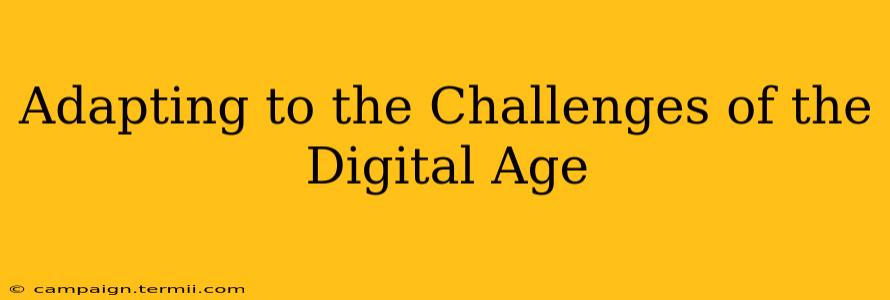 Adapting to the Challenges of the Digital Age