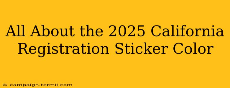 All About the 2025 California Registration Sticker Color